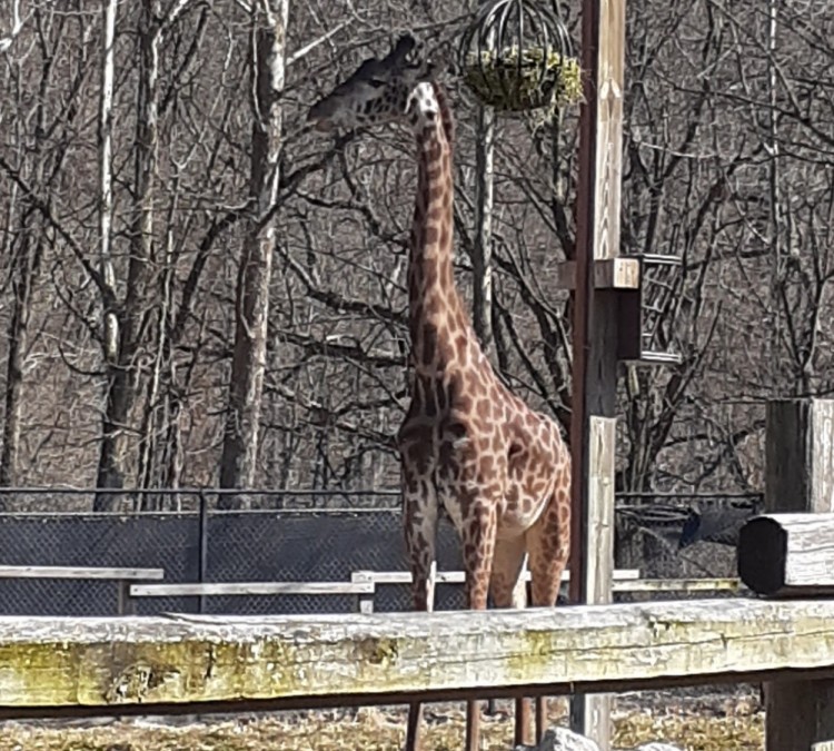 Lehigh Valley Zoo (Schnecksville,&nbspPA)